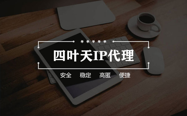 【梅州代理IP】如何快速搭建代理IP？怎么检查代理的效果？